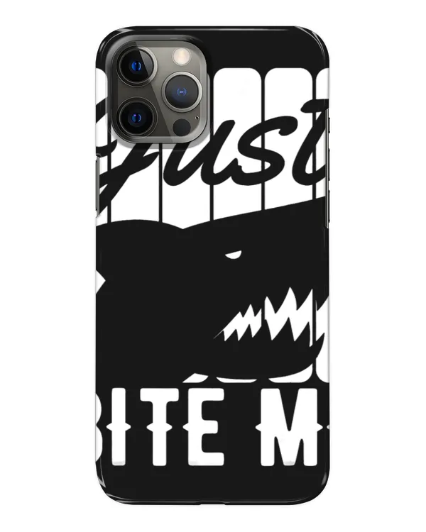 Snap Case - iP 12 Pro Max