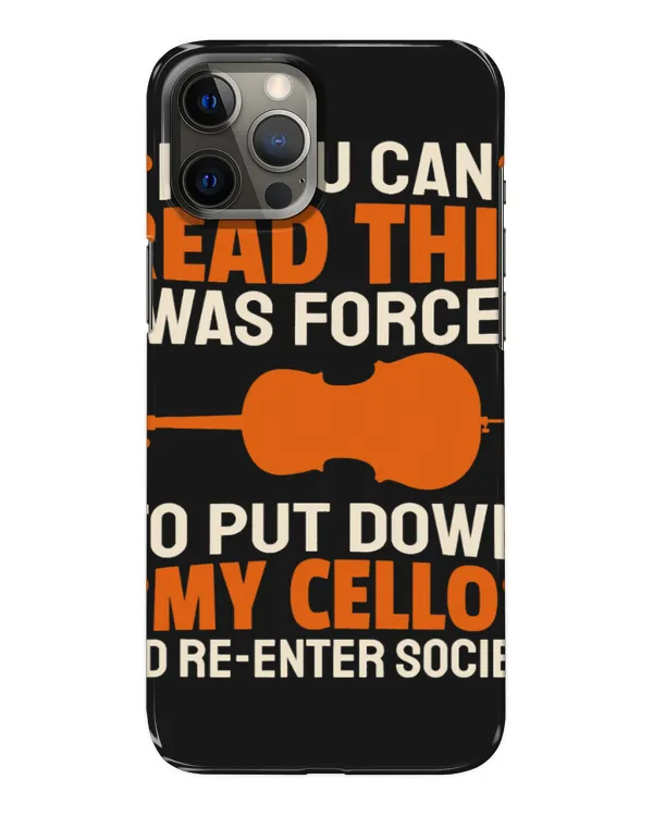 Snap Case - iP 12 Pro Max