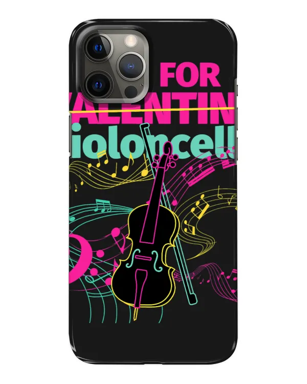 Snap Case - iP 12 Pro Max