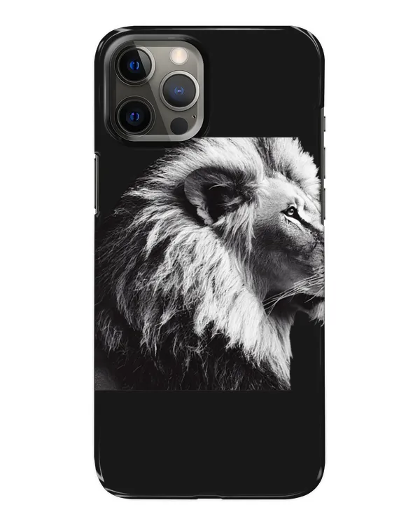 Snap Case - iP 12 Pro Max