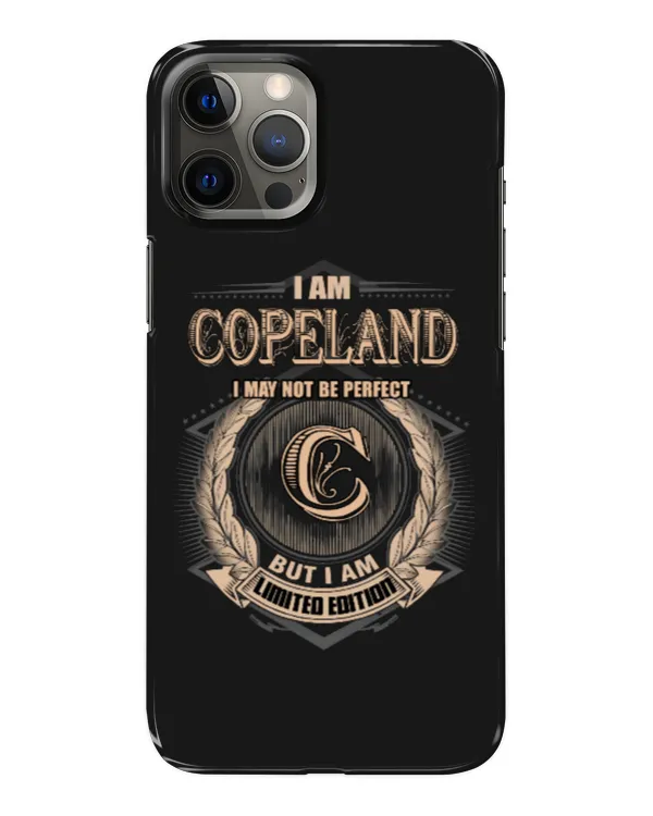 Snap Case - iP 12 Pro Max