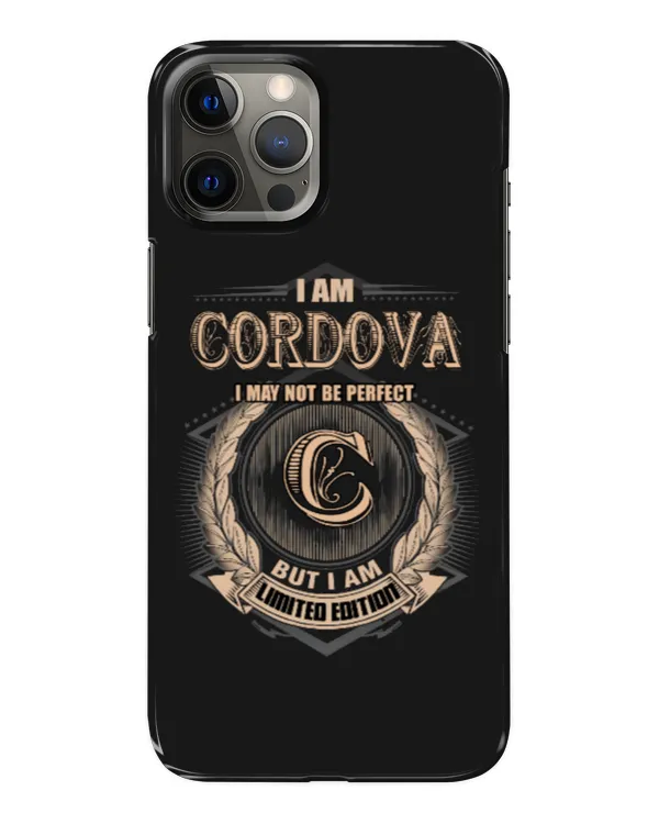 Snap Case - iP 12 Pro Max