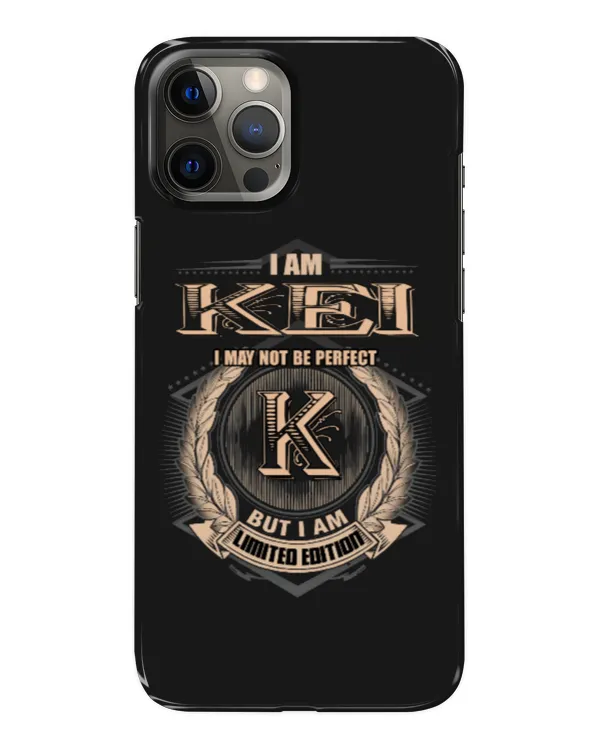 Snap Case - iP 12 Pro Max