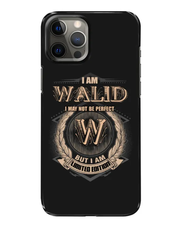 Snap Case - iP 12 Pro Max