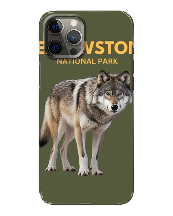 Snap Case - iP 12 Pro Max