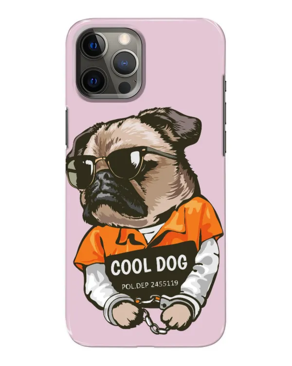 Snap Case - iP 12 Pro Max