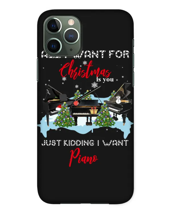 Snap Case - iP 11 Pro