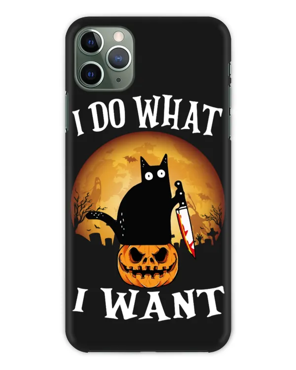 Snap Case - iP 11 Pro Max