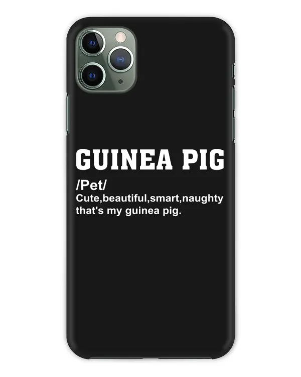 Guinea pig / Meerschweinchen