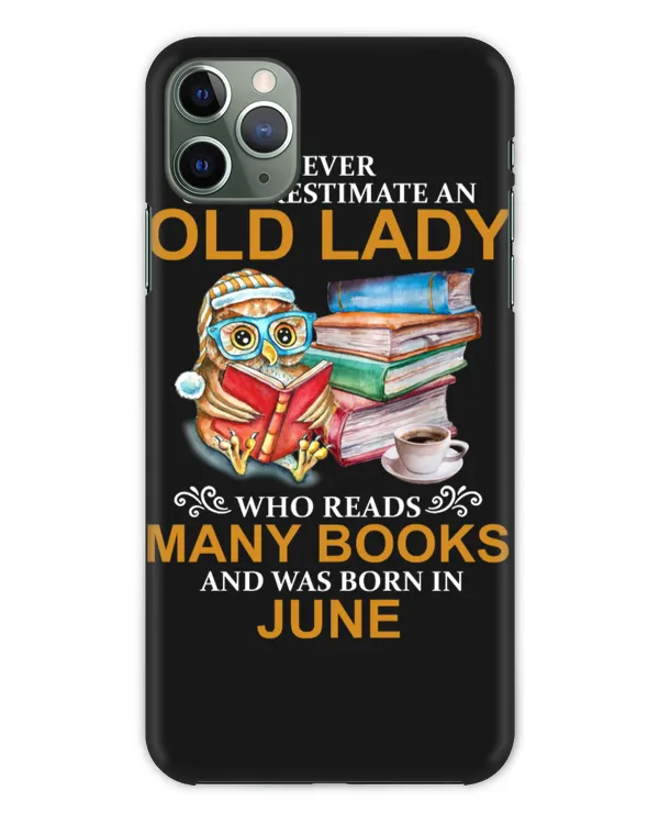 Snap Case - iP 11 Pro Max