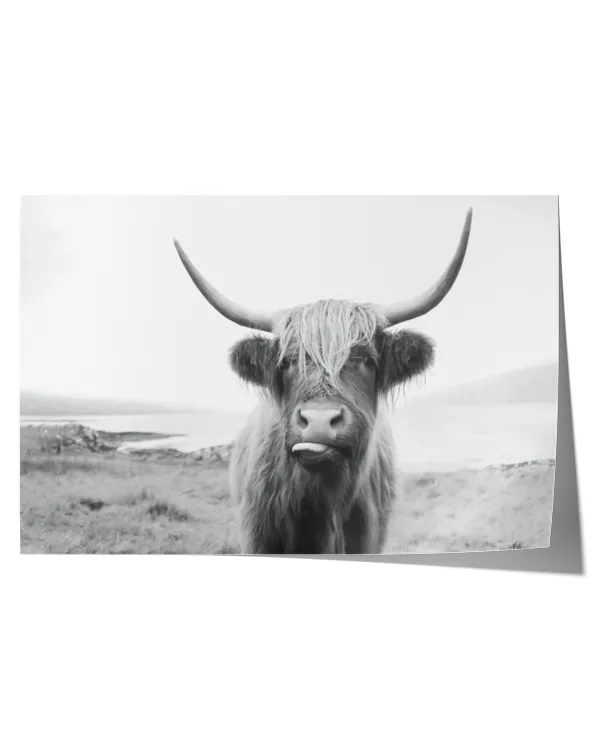 Satin Landscape Poster