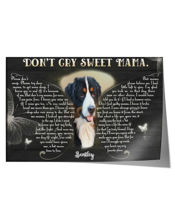 Satin Landscape Poster