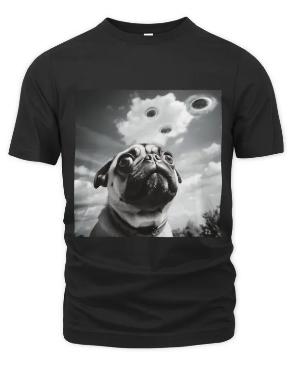 The Organic Unisex T-shirt