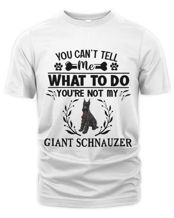 The Organic Unisex T-shirt