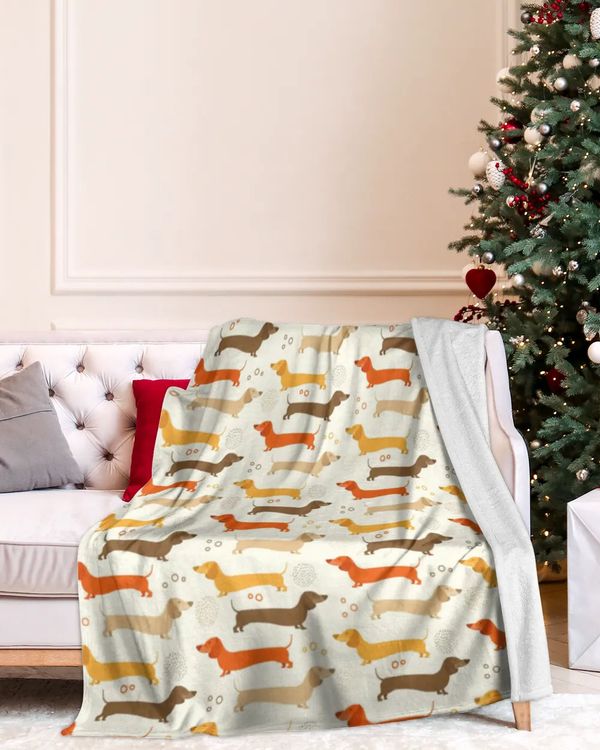 Cozy Plush Fleece Blanket
