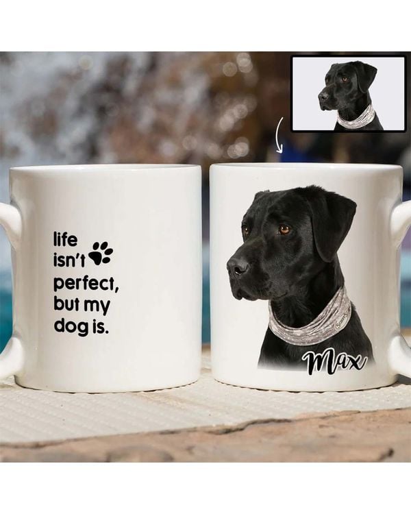 Miah1476 Life Isn't Perfect But My Dog Is