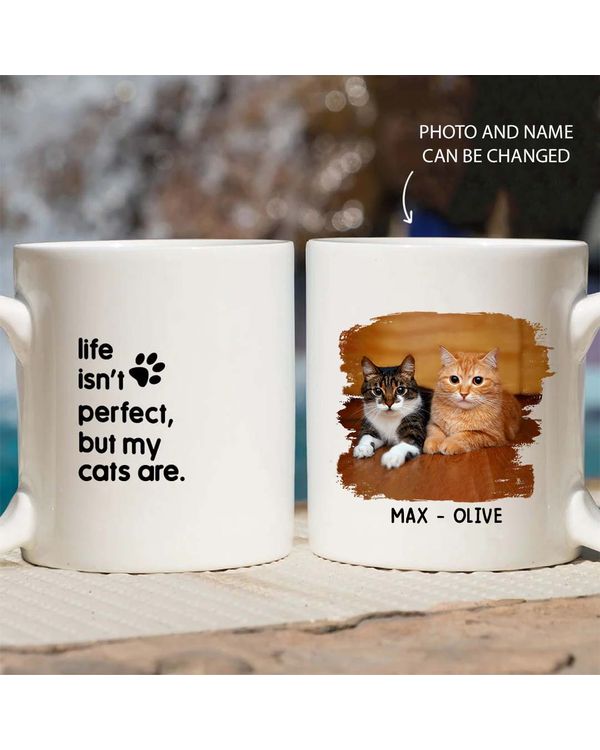 Miah1476_cat Life Isn't Perfect But My Cat Is