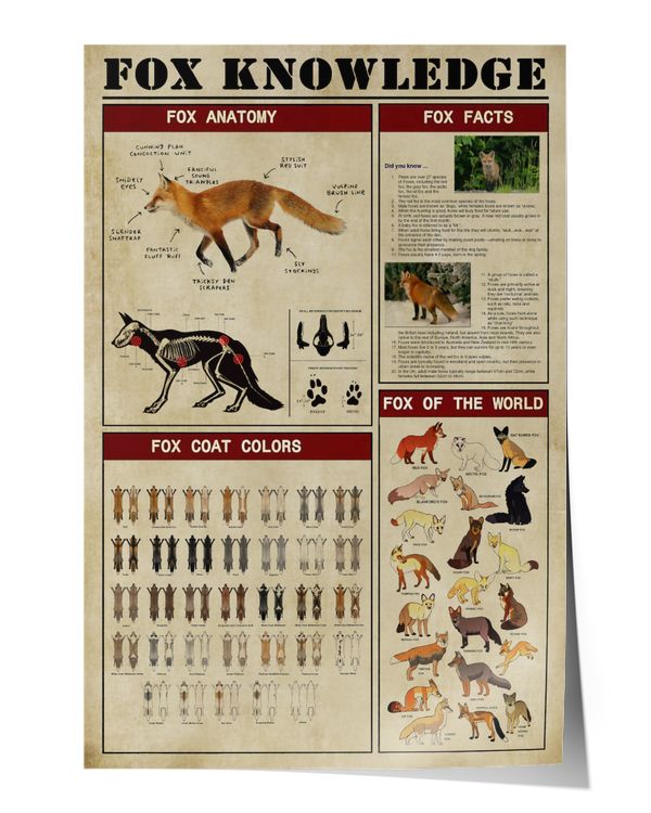 Fox Knowledge Wall Decor Artwork Print Poster Wall Art Print Home Decor Vintage