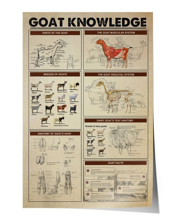 Goat Knowledge Wall Decor Artwork Print Poster Wall Art Print Home Decor Vintage (2)
