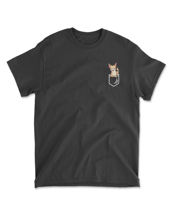 chihuahua in pocket