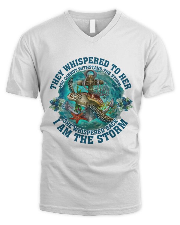 Men's V-Neck T-Shirt