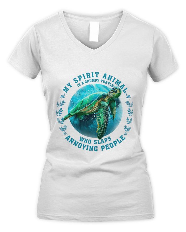 Women's V-Neck T-Shirt