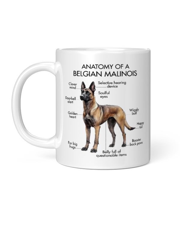 Anatomy Of A Belgian Malinois