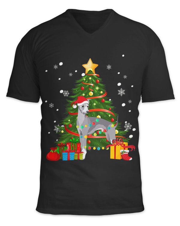 Unisex Jersey SS V-Neck T-Shirt