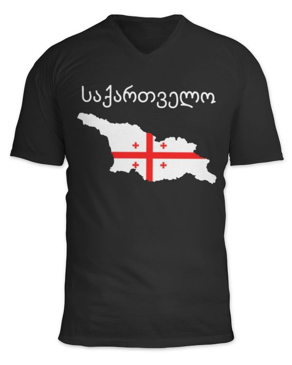 Unisex Jersey SS V-Neck T-Shirt