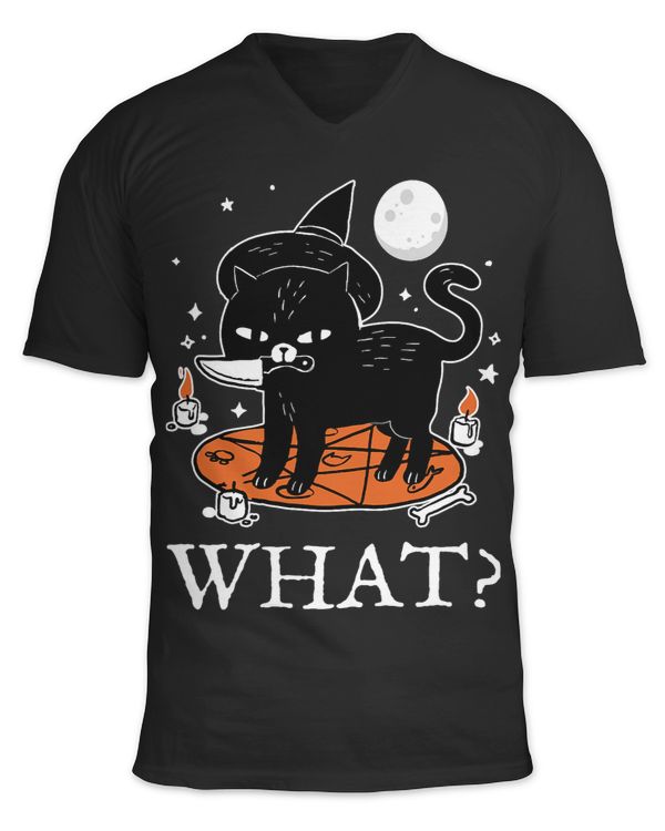 Unisex Jersey SS V-Neck T-Shirt