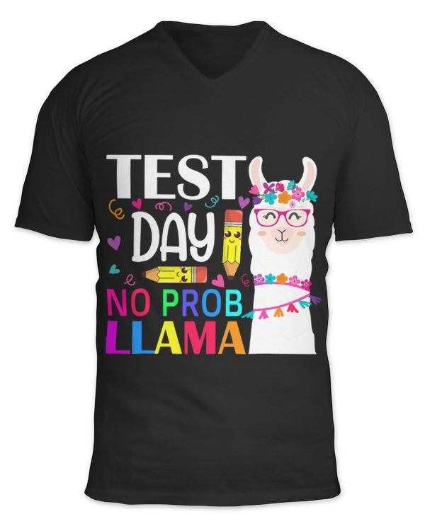 Unisex Jersey SS V-Neck T-Shirt