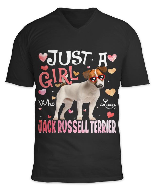 Unisex Jersey SS V-Neck T-Shirt
