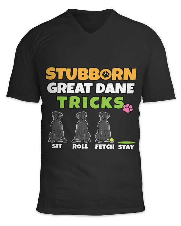 Unisex Jersey SS V-Neck T-Shirt