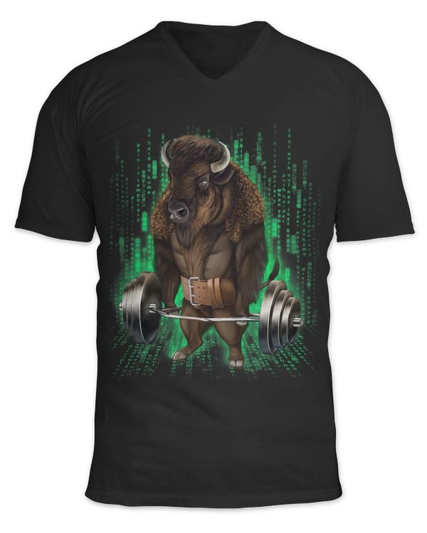 Unisex Jersey SS V-Neck T-Shirt