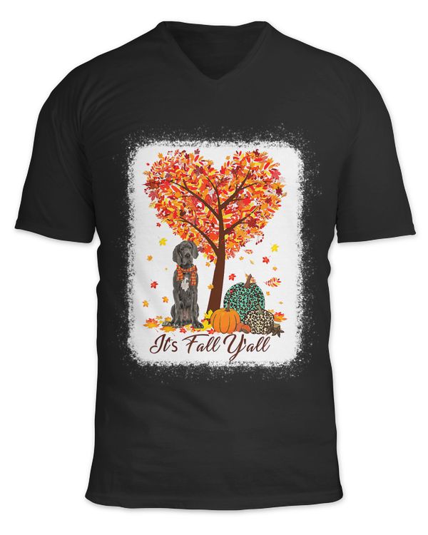 Unisex Jersey SS V-Neck T-Shirt