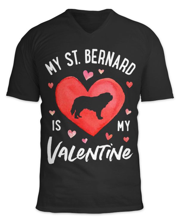 Unisex Jersey SS V-Neck T-Shirt