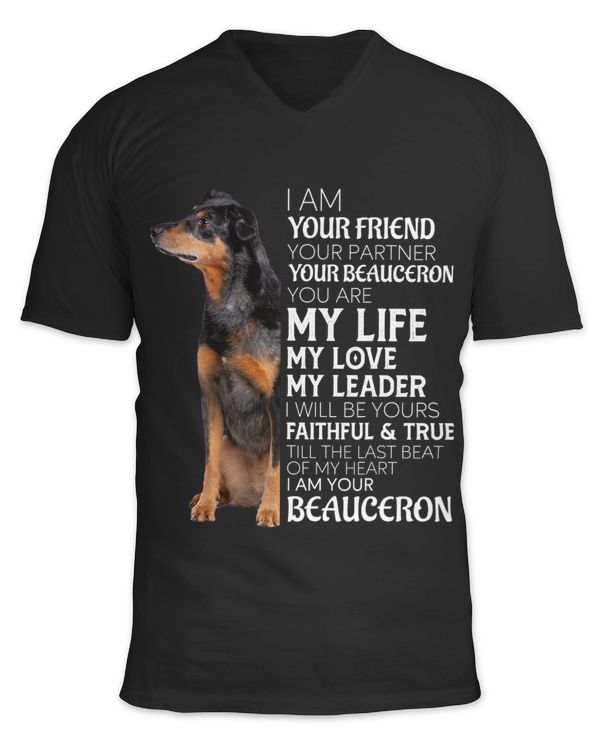 Unisex Jersey SS V-Neck T-Shirt