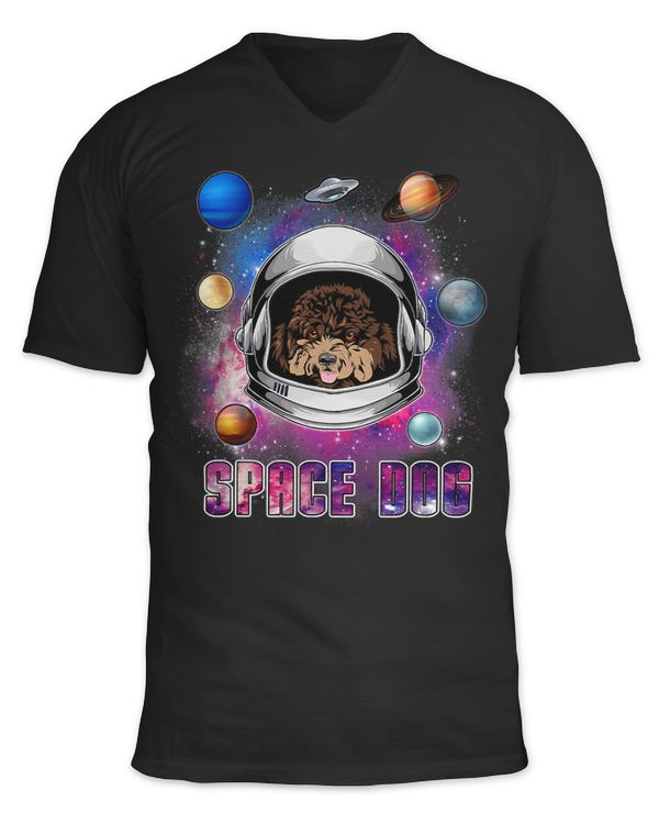 Unisex Jersey SS V-Neck T-Shirt