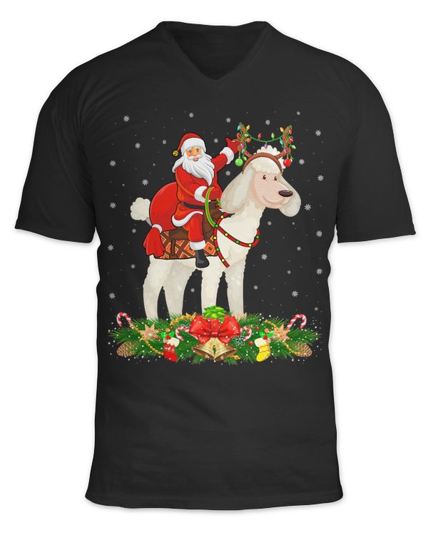 Unisex Jersey SS V-Neck T-Shirt