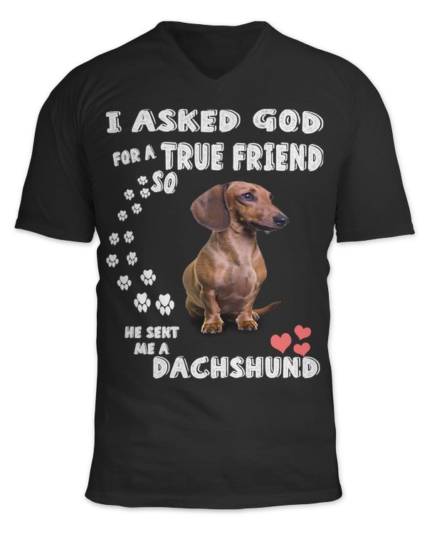 Unisex Jersey SS V-Neck T-Shirt