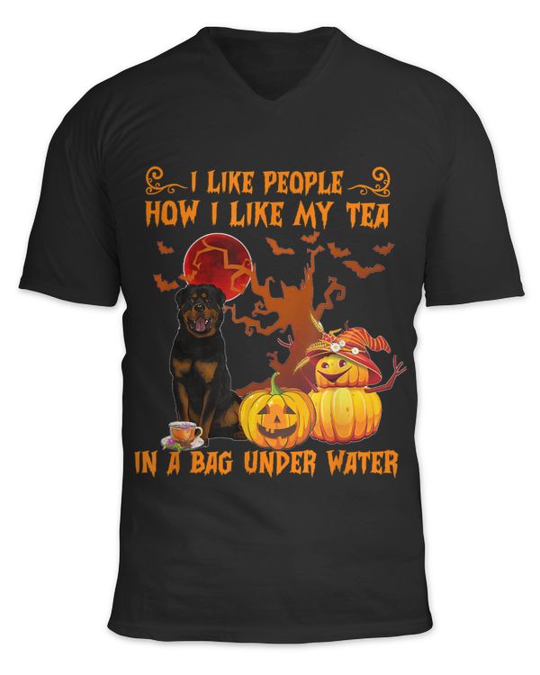 Unisex Jersey SS V-Neck T-Shirt