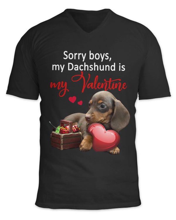 Unisex Jersey SS V-Neck T-Shirt