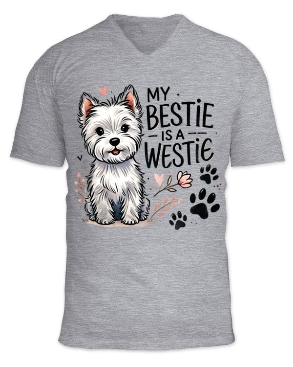 Unisex Jersey SS V-Neck T-Shirt