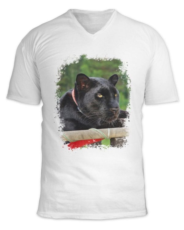 Unisex Jersey SS V-Neck T-Shirt