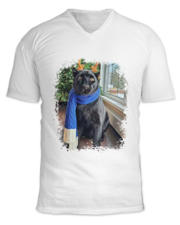 Unisex Jersey SS V-Neck T-Shirt