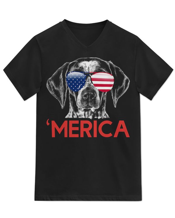 Unisex Jersey SS V-Neck T-Shirt