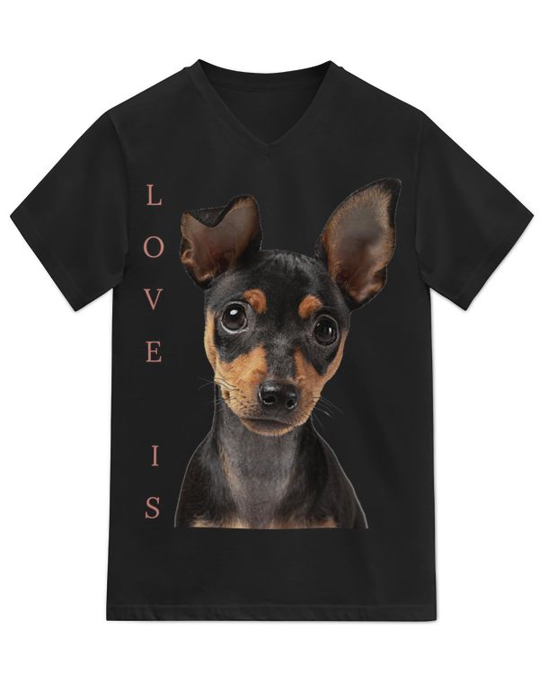 Unisex Jersey SS V-Neck T-Shirt