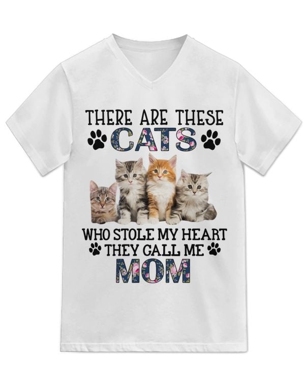 Unisex Jersey SS V-Neck T-Shirt