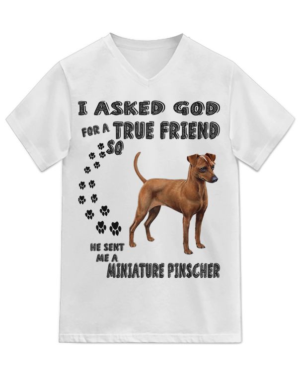 Unisex Jersey SS V-Neck T-Shirt