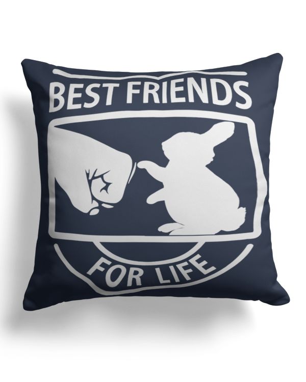 Cotton Drill Pillow (Dual Sided)